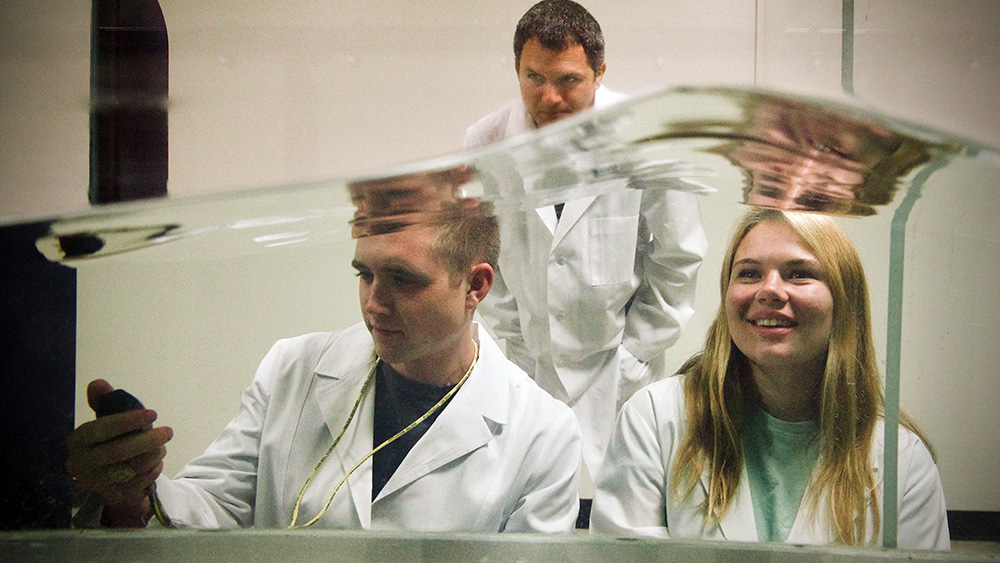 一位教授监视着两个研究生，同时在波浪箱模拟器中进行测试。