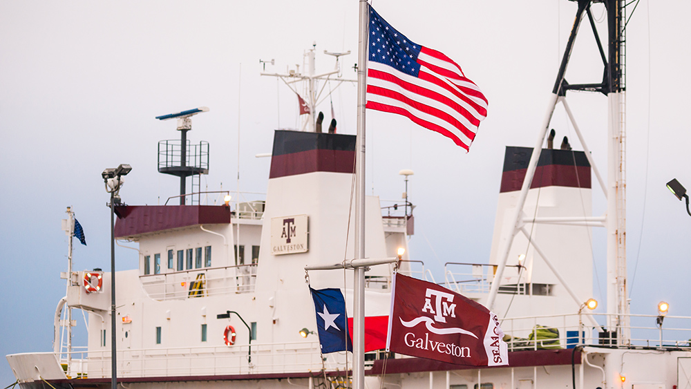 一艘带有德州a&m Galveston标志的船骄傲地展示着美国国旗，德州国旗和德州a&m Galveston旗帜在风中飘扬。