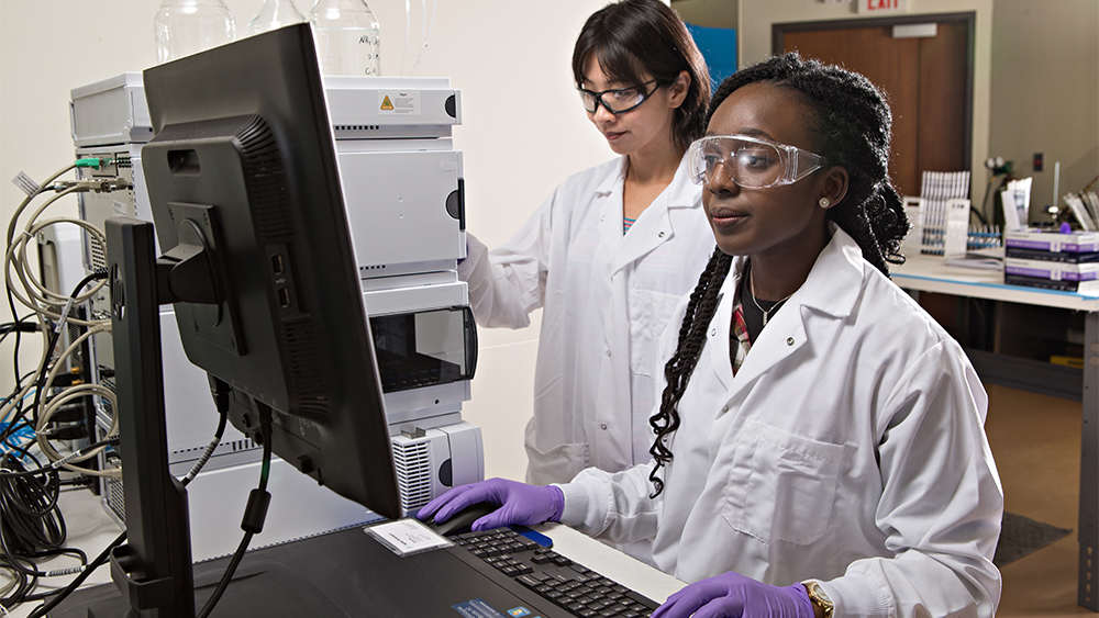 女研究员和女石油学生在电脑屏幕上审查实验结果
